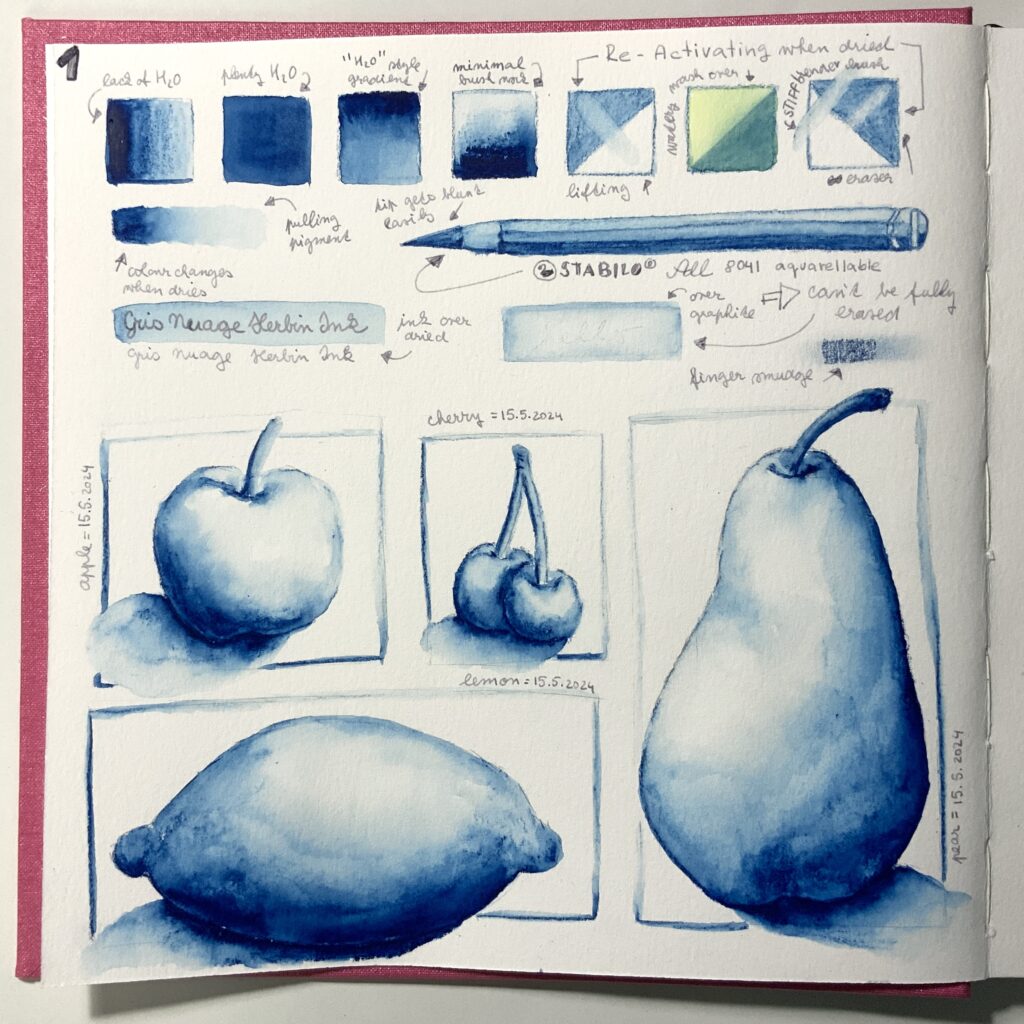 sketches of fruits