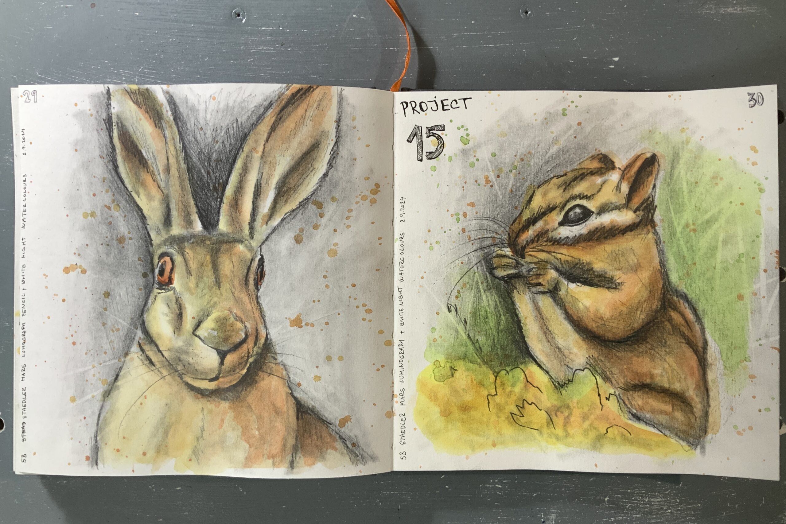 hare and chipmunk sketch